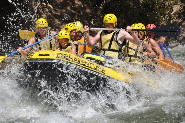  Paddling at the same time 